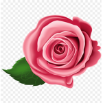 Rose Enterprises