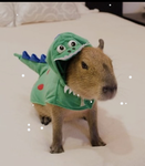 I love and cherish my capybaras
