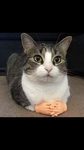 Matyho_Doge Group