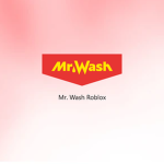 Mr. Wash Official