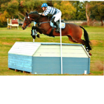 Athletic equestrian group
