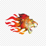 AmyFire