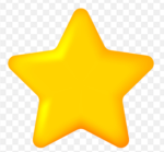 The Stars gymnastics team