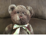 Bear boy club