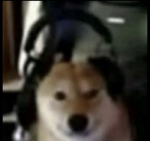 hyped gamers