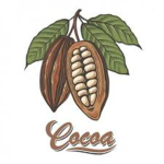Cocoa House