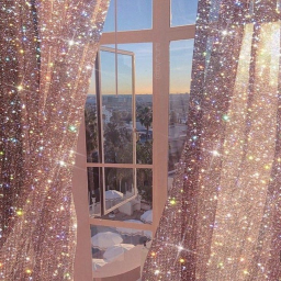 a e s t h e t i c