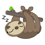 TEAM SLOTH FOREVER (poke fan)