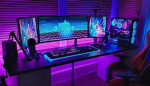 progamer_ 100