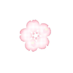 ˚ . ‧ ꒰ ˙ . ꒷ ─ 🌸 ─ ꒷ . ˙ ꒱ ‧ . ˚