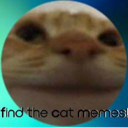 Find the Cat Memes! (80)
