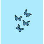 Blue Beautiful butterfly