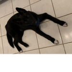 Let’s play?