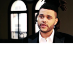 The Weeknd XO Fan Group
