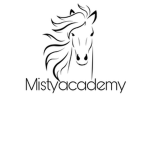 *Misty academy *