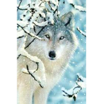 Wolf Supporter Studios