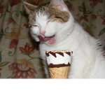 ice cream cat fan group