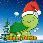 TEAM TURTLE FOREVER!!