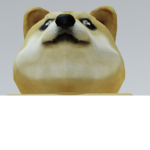 Doge barks bright demons