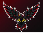 The black wings club