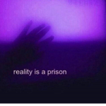 anqxlflwr