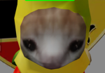 *+((Froggy's Corner))+*