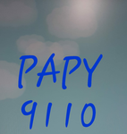 papy9110