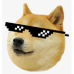Coolest gamers group