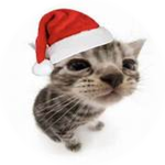 i find the christmas hat (event)