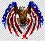 America's Finest Gaming