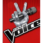 The voice!!!