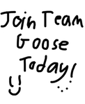 team goose!