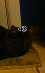 sTARdUST419