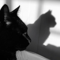 🖤