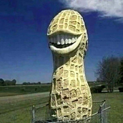 Cursed image peanut Roblox decal