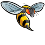 Wasp Life Development