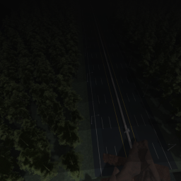the forest
