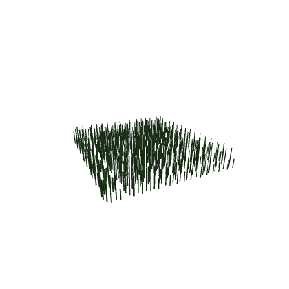grass