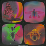 arthropod appreciation association