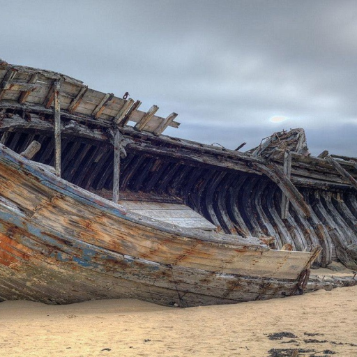 Search for shipwrecks