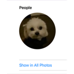 My dogs friends