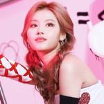 sanashyshyshy