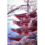 Ohayo Tokyo