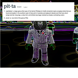 pitta
