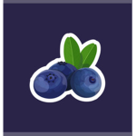 • Mary’s Blueberries •