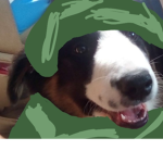 Louie puppy tehehe