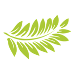 The Fern Family
