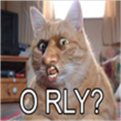 ugly freeky cat Roblox decal