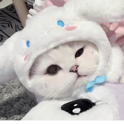˚୨୧⋆｡˚ ⋆