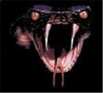 cobra attack team special opreations